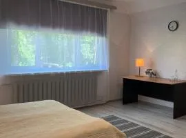Ilmatsalu apartment