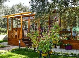 Tiny House Village，位于İznik的酒店