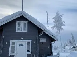 VILLA RIIHITONTTU MUURAME RIIHIVUORI