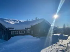 TRYSIL - Koselig norsk fjellhytte