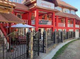 Pensiunea Anisoara，位于Chişcău的家庭/亲子酒店