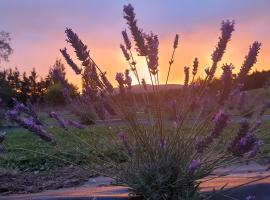 Lavender Row Farm