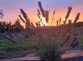 Lavender Row Farm，位于Outram的农家乐