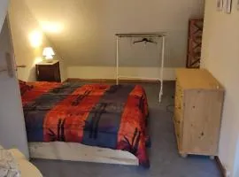 chambre chez l'habitant ,bleue, maison ancienne