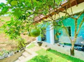 Tea cabin by Hoyts