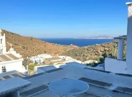 Cycladic house with amazing view in Potamia village