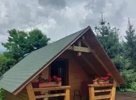 Cazare la Munte cu Piscină