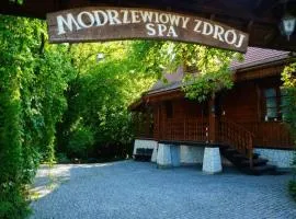 Modrzewiowy Zdrój