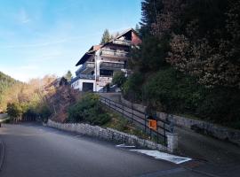 Haus Schwarzwaldblick，位于霍恩贝格的度假屋