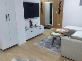 Pineta Apartman Bjelasnica