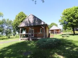 Chalet au cœur des Volcans d'Auvergne, 4 pers., terrasse, TV, proximité Salers et activités outdoor - FR-1-742-465