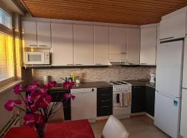 Kattohuoneisto keskustassa，位于列克萨的酒店