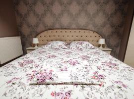 Luxury Radox Airport Bucharest 2，位于奥托佩尼的酒店