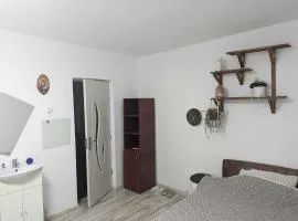 Cazare in apartament liber