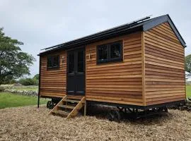 Woodland Shepherds Hut - 'Saga'