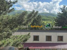 Sochiner Hotel，位于瓦纳佐尔的酒店