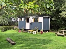Pipowagen op natuurcamping