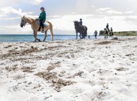 Meislahnhof Fehmarn，位于费马恩的公寓