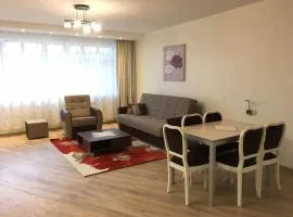 Spacious Apartment in Kintai