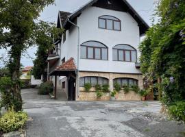 Villa Repić，位于Slatina的酒店
