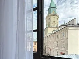 Romantic View - Lublin Old Town cul-de-sac