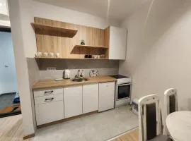 Apartman Ristic