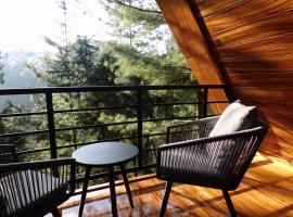 Cabañas El Rincón de Pancho，位于Altotonga的酒店