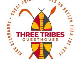 Three Tribes Guest House，位于Amdalai的酒店