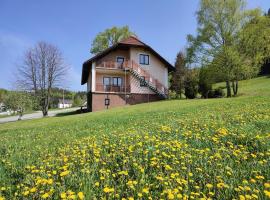 Ferienhaus Schöller，位于Schönbach的低价酒店