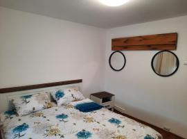 Apartament în regim hotelier，位于德瓦的酒店