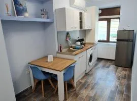 Apartament ultra central!
