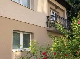 Apartman Pionirska
