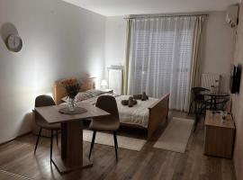 Apartman San，位于鲁马的酒店