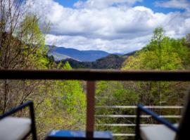 Family Cabin Near Smoky Mtn Entrance Nantahala，位于罗宾斯维尔的酒店