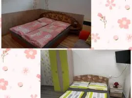 Apartman Lotus -obnovená