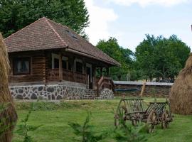 Due Fratelli Village Resort，位于Şinteu的木屋