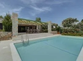 Ouzo Stone House 1 with private pool