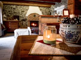Chalet in pietra e legno con caminetto，位于Inverso Pinasca的低价酒店