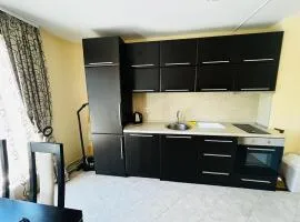 Lovely apartment with FREE parking Silver Springs