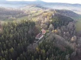 Dobrá Voda u Záblatí - lesní areál