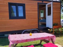 Mobile Tinyhouse by Wolfsberger