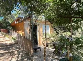 Chalet dans les arbres