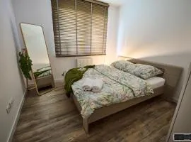 Apartament 12