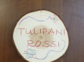 Appartamento I Tulipani. Camera I Tulipani Rossi，位于巴贝里诺·迪·穆杰罗的旅馆