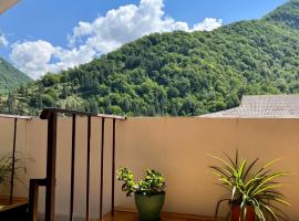 Guest House Lulu，位于Barisakho的酒店