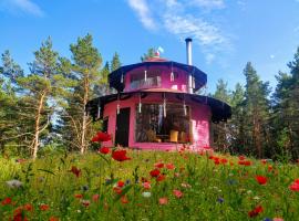 Roosa maja parvesaunaga，位于Reigi的酒店