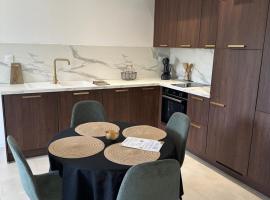 Appartement neuf contemporain，位于卢尔德的度假短租房