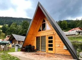 Villa Alpina