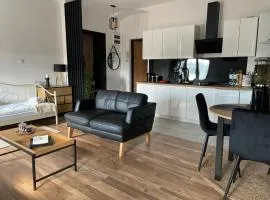 Apartament w centrum przy Studni 2