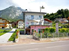 Ciclamino Standard Vittoria